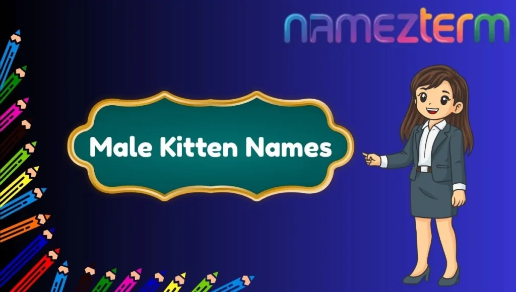 Male Kitten Names