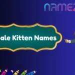 Male Kitten Names