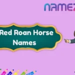 Red Roan Horse Names