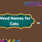 Weed Names for Cats