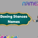 Boxing Stances Names