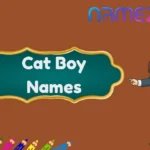 Cat Boy Names